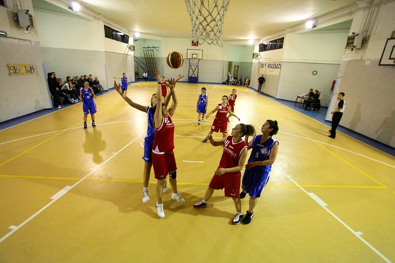 Basket 443118